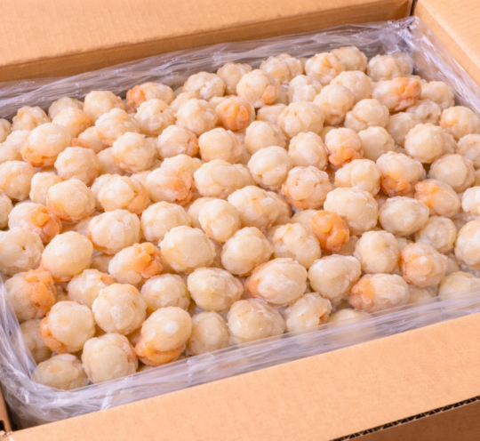 ベビーアズマニシキ（ホタテ）