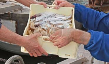 ホームページ開設のお知らせ