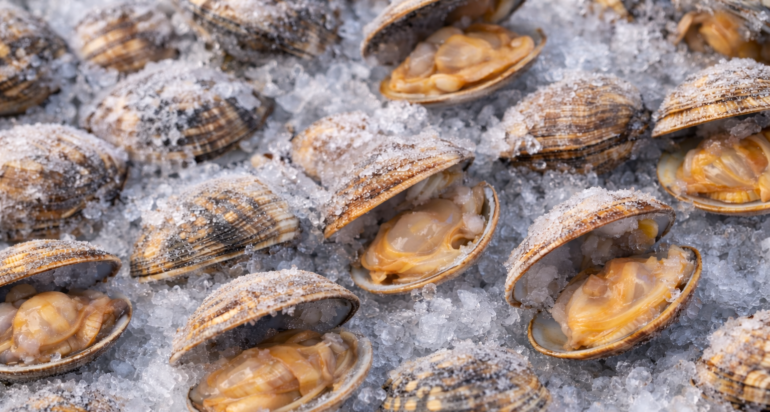 【生冷 殻付きアサリ】業務用バラ凍結・高旨味タイプ