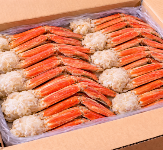 ボイルズワイがに