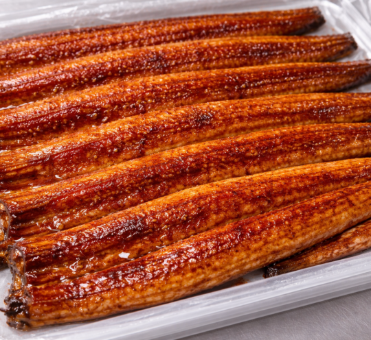 ウナギ蒲焼（ロストラータ種）