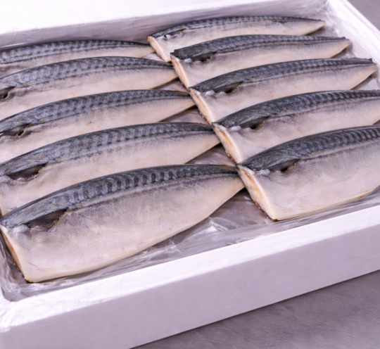 さわらFe　腹骨取り