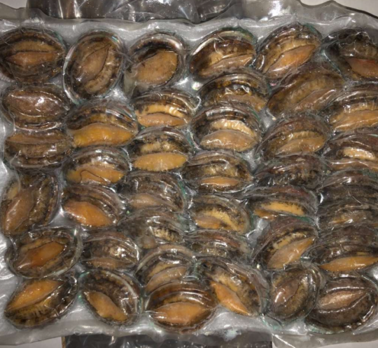 剥きあわび　ブランチ